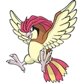 Tauboga