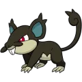 Alolan Rattata