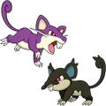 Alolan Rattata