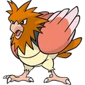 Spearow
