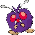 Venonat