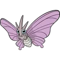 Venomoth