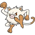 Mankey