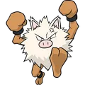Primeape