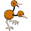 Doduo