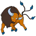 Tauros