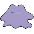 Ditto