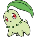 Endivie