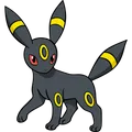 Umbreon