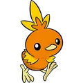 Torchic