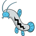 Barboach