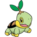Turtwig
