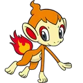 Chimchar