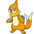 Buizel