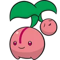 Cherubi