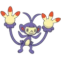 Ambipom
