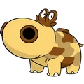 Hippopotas