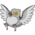 Pidove