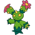 Maractus