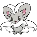 Cinccino