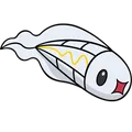 Tynamo