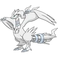 Reshiram