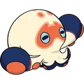 Clobbopus