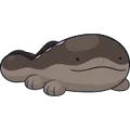 Suelord