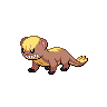 Yungoos game sprite