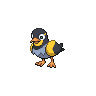 Wattrel game sprite
